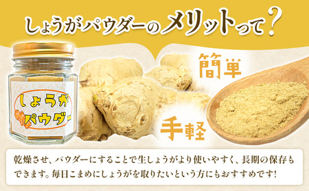 しょうがパウダー 50g 2個 ありがとう園《60日以内に出荷予定(土日祝除く)》岡山県 矢掛町 生姜 しょうが パウダー 野菜 送料無料