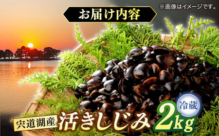 しじみ しじみ 砂抜き不要！ 活ヤマトシジミ 生しじみ 2kg 島根県松江市/株式会社漁師村[ALDN003] しじみ しじみ
