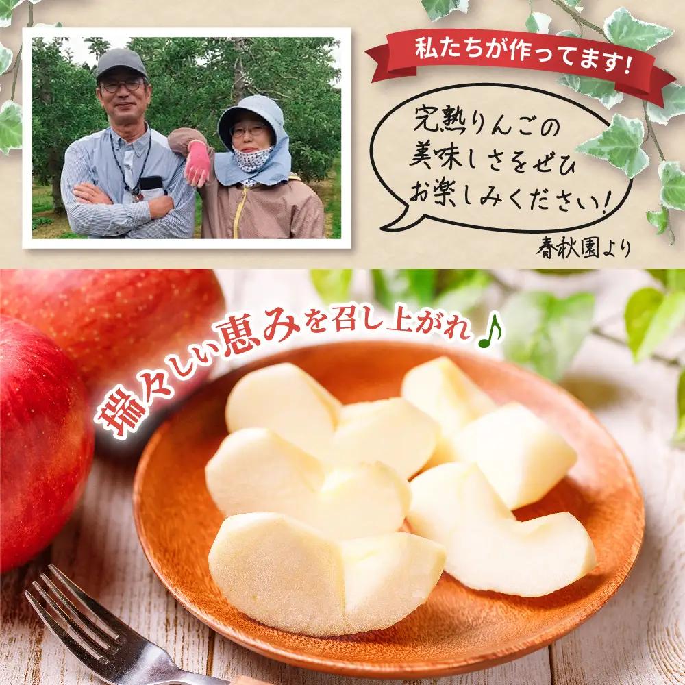 りんご　訳あり約5kg早生ふじ【2026年10月上旬発送】りんご