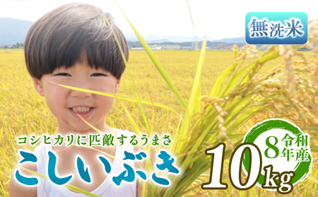 【先行予約】令和8年産 こしいぶき 無洗米 10kg 5kg 2袋 新発田市産 こしいぶき kwsMKI