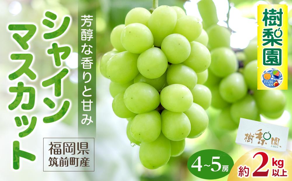【2026年先行予約】シャインマスカット 約2kg (4～5房)【筑前町産】