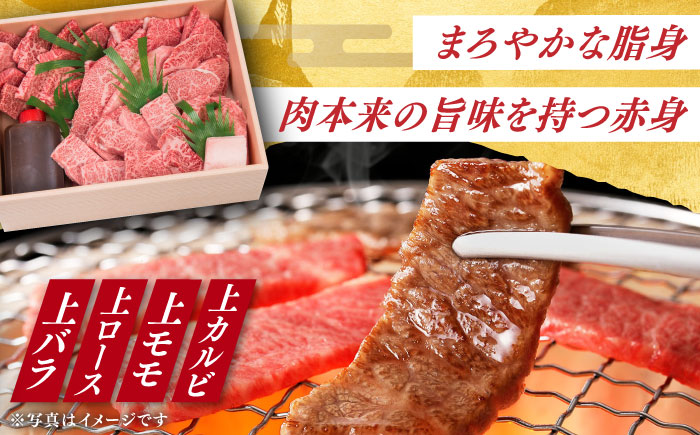 【6回定期便】 長崎和牛 焼肉 セット 4種 （ 上バラ / 上モモ / 上ロース / 上カルビ )  計920g 《小値賀町》【株式会社 OGAWA】 [DBJ019] 肉 和牛 黒毛和牛 焼き肉 