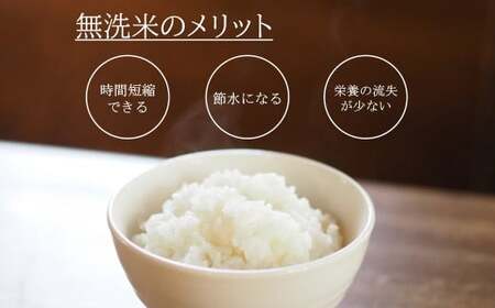 【令和6年産】無洗米 特別栽培米 長崎つや姫 計5kg（2.5kg×2袋） 新米 ／ お米 米 コメ ご飯 白米