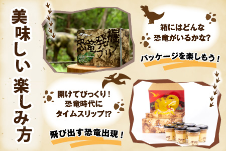 恐竜発掘プリン 特製ギフトボックス 6個入 スプーン2本付 冷凍 プリン 永平寺　B-026037