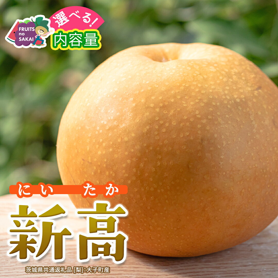 【ふるさと納税】＼ 選べる内容量 ／ 新高 約 3kg / 5kg【2026年10月より発送開始】（茨城県共通返礼品 [梨]：大子町産） 高糖度 ギフト 贈り物 プレゼント フルーツ なし ナシ 和梨 梨 果実 旬のフルーツ お取り寄せ くだもの 果物 みずみずしい