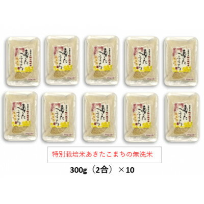 【ふるさと納税】令和7年産特別栽培米あきたこまち無洗米3kg【300g(2合)×10個】使いやすくプレゼントにも便利【配送不可地域：離島・沖縄県】【1675482】