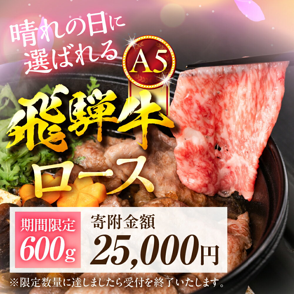 【ふるさと納税】【最短翌日発送！数量限定！】飛騨牛 A5等級 すき焼き用 ロース肉 300g 600g 1200g 300g ×2 ×4 ≪選べる≫ すき焼き 定期便 ロース A5 A5ランク 牛肉 黒毛和牛 和牛 国産 厳選 高級 冷凍 お祝い 記念日 ランキング 中部ミート 岐阜県 大垣市