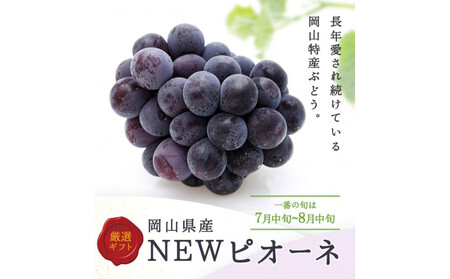【定期便全3回】もも ぶどう 晴れの国岡山フルーツ定期便（７月・８月・９月お届け）岡田青果