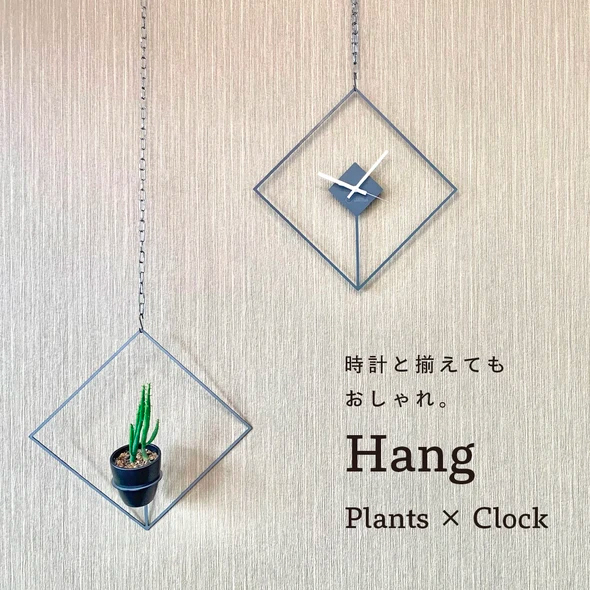 GRAVIRoN Hang Plants シリーズ Diamond 酸洗鉄（プランツハンガー） 観葉植物 プランター_イメージ3