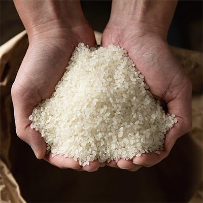 ふるさと納税 南魚沼市 6年連続金賞　南魚沼産コシヒカリ5kg　栽培期間中農薬化学肥料不使用 |  | 02