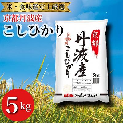 ふるさと納税 亀岡市 【令和7年産】京都丹波産 こしひかり 5kg ※精米したてをお届け