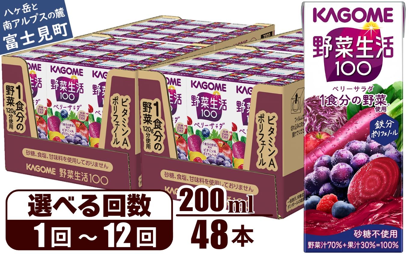 
                  カゴメ 野菜生活100 ベリーサラダ 200ml 48本 ジュース 野菜 果実ミックスジュース 果汁飲料 紙パック 砂糖不使用 1食分の野菜 鉄分 ポリフェノール ビタミンA 飲料類 ドリンク 野菜ドリンク 備蓄 長期保存 防災 飲みもの 長野県 富士見町 【選べるお届け回数：1回～12回】
                