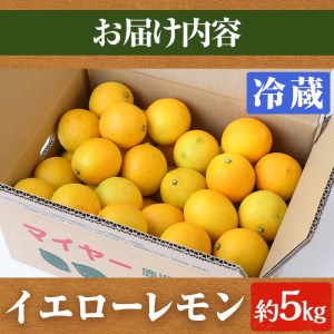 ＜先行予約受付中！2025年4月以降発送予定＞数量限定！冷蔵品イエローレモン(5kg)国産 マイヤーレモン 檸檬 オレンジ 果実 果物 フルーツ 柑橘 デザート 期間限定【桐野柑橘株式会社】a-20-