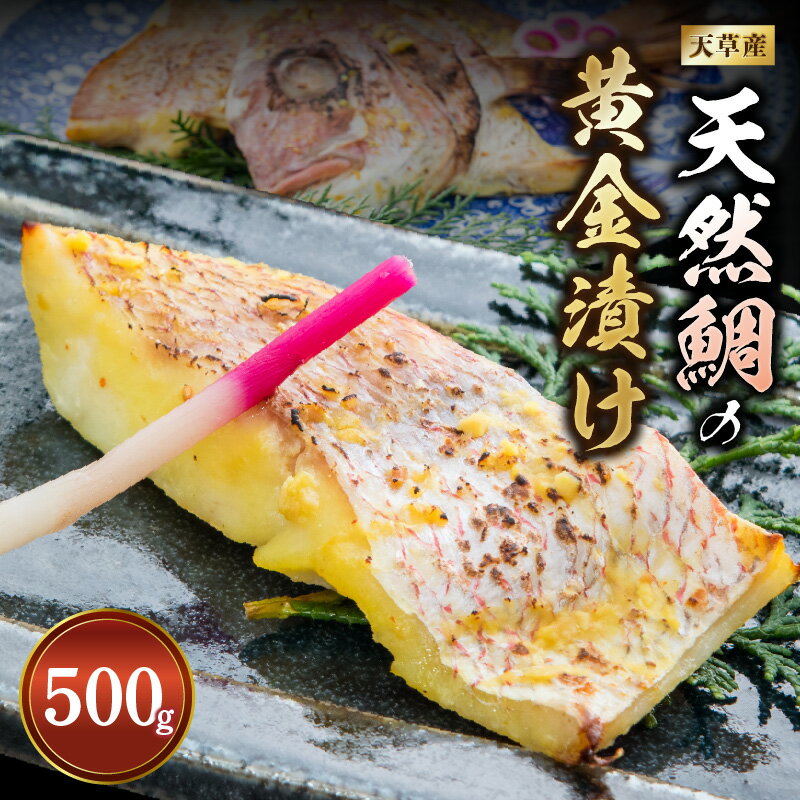【ふるさと納税】天然鯛 黄金漬け 500g オリジナル 味噌漬け 鯛 食欲そそる ごはんのお供 おつまみ 加工品 海鮮 魚介類 天草産 食品 熊本県 天草市 アマレイ お取り寄せ お取り寄せグルメ 冷凍 送料無料