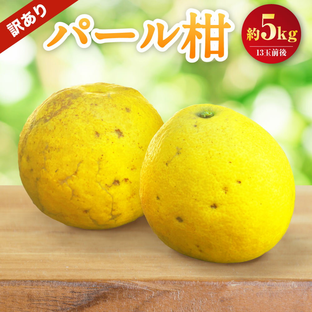 【ふるさと納税】【先行受付】【数量限定】【訳あり】パール柑 約5kg 訳あり 13玉前後 柑橘 果物 くだもの フルーツ 果実 上天草市産 熊本県産 九州産 国産 送料無料 【2026年2月下旬から3月下旬順次発送】
