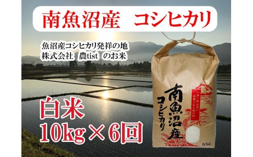 
                  【令和7年産】【定期便 南魚沼産】コシヒカリ 白米10kg×6回
                