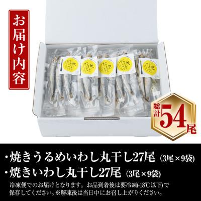 ふるさと納税 佐伯市 焼き うるめいわし 丸干し・焼き いわし 丸干し セット(総計54尾) |  | 01