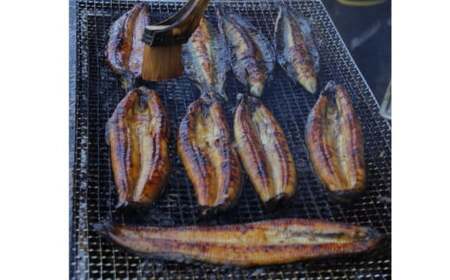 【四国一小さなまち】≪ヤマシン≫ ※ 冷凍 ※ 特選うなぎの蒲焼き　３尾