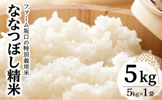 《令和8年産》お米 ななつぼし精米 5kg｜米 精米 北海道 岩見沢市 ファーム坂口の特別栽培米 5kg (5kg×1袋)