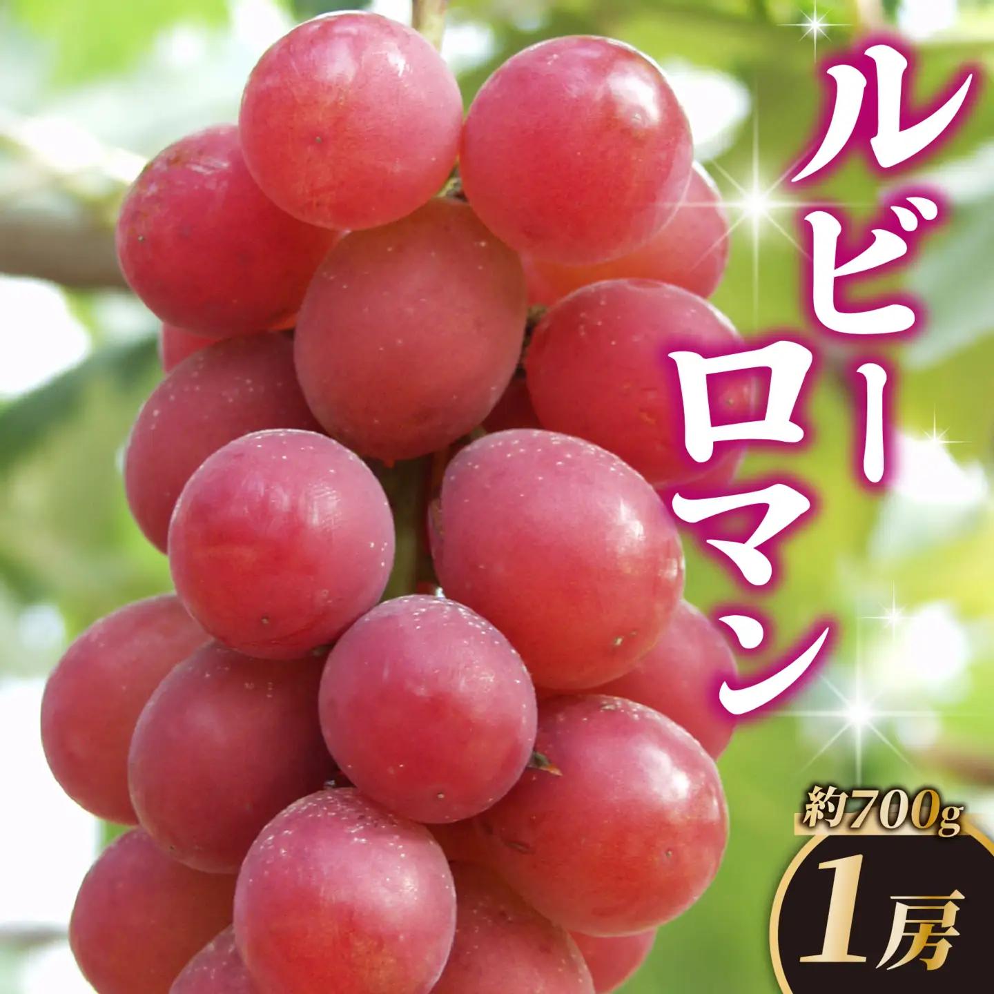 ルビーロマン 1房 約700g（1箱）【2026年収穫分】｜ぶどう ぶどう 葡萄