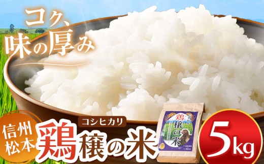 鶏穣（けいじょう）の米 5kg | 米 コシヒカリ 鶏穣の米 信州 松本産 長野県 信州米 こめ 白米 おこめ ごはん 銘柄米 単一米 信州産 ふるさと納税