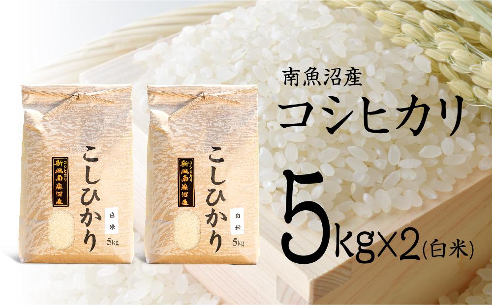 【令和7年産 新米予約】南魚沼産コシヒカリ（白米）【5kg×2】【令和7年10月中旬以降発送】【米 お米 こしひかり 南魚沼 米 白米 こめ 新潟 米】