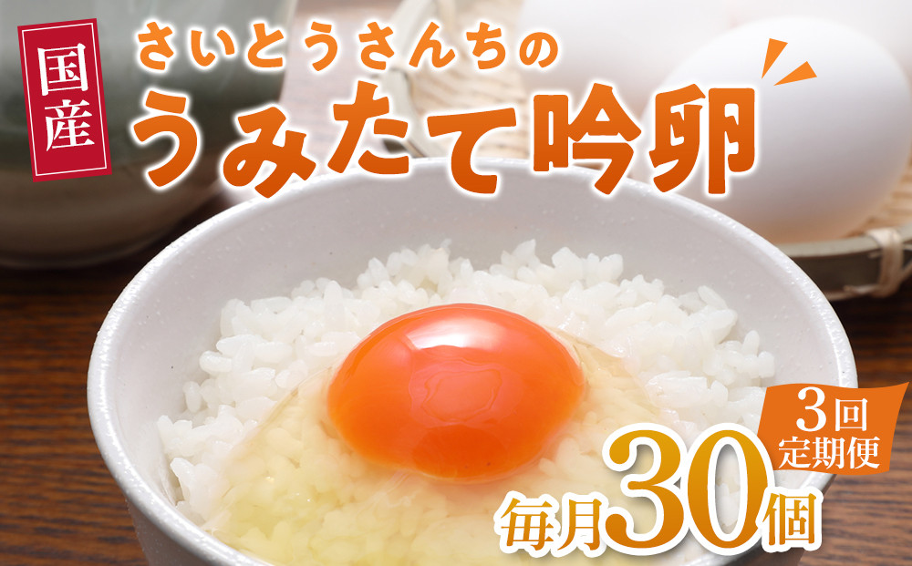 【3回定期便】さいとうさんちのうみたて吟卵　30個入り