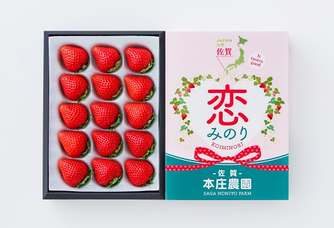 【贈答品】 特別栽培 イチゴ 恋みのり 化粧箱 （450g）×1箱 12月下旬～4月発送 苺 いちご フルーツ 果物 贈答 ギフト プレゼント 佐賀県 佐賀市：B145-030