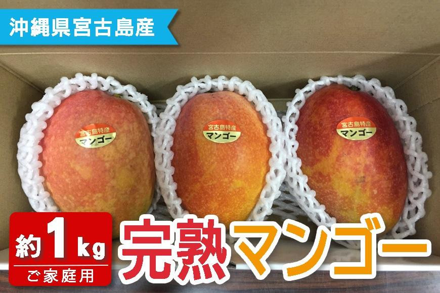 
            ★品切れ★FQ011　【宮古島産マンゴー】ご家庭用 1kg（2-3玉）マンゴーファーム宮古島
          