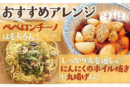 【先行予約】土付き にんにく 白玉王 1kg Lサイズ 本別町産 斎啓一 《2026年8月上旬-9月末頃出荷》