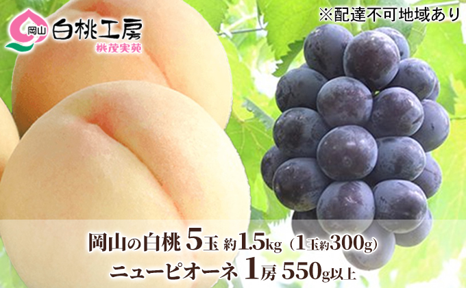 桃 ぶどう 2026年 先行予約 白桃 5玉 合計約1.5kg（1玉 約300g） ニューピオーネ 1房 550g 詰合せ もも モモ 葡萄 ブドウ ピオーネ 岡山県産 国産 フルーツ 果物 ギフト 桃茂実苑 