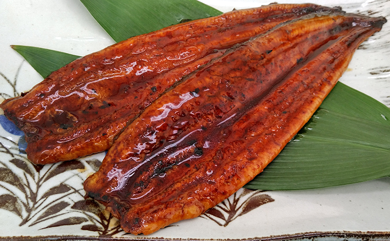 工場直送!特大!!浜名湖産うなぎ蒲焼き 真空パック 約200g×2尾 タレ・山椒付き うなぎ 鰻 ウナギ 蒲焼 冷凍 浜松市 静岡