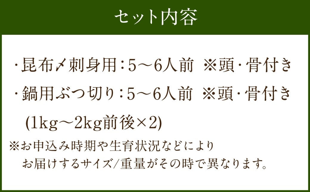長崎の森で育てた『幻のクエ』 【セット】昆布〆 刺身用 5～6人前、鍋用 5～6人前(1kg～2kg前後×2)