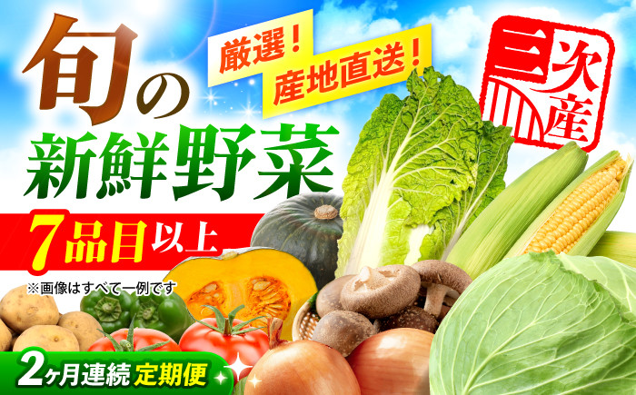 
                  【全2回定期便】野菜 厳選！農夫のお野菜セット 旬の野菜 7品目以上 詰め合わせ 野菜セット 新鮮 食材 定期便 旬 野菜 新鮮 食材 栄養 産地直送 広島県産 特産品 産地直送 お取り寄せ 贈り物 ギフト 贈答品 絶品 銘品 三次グルメ 三次市/布野特産センター [APBA014]
                