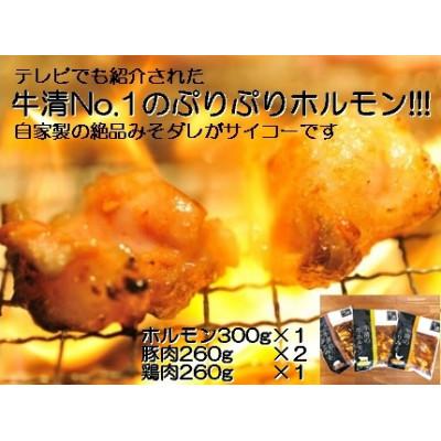 ふるさと納税 南伊勢町 牛清 特製みそダレ Eセット ホルモン300g×1、豚肉×2、鶏肉×1 キャンプやバーベキューで活躍 |  | 01