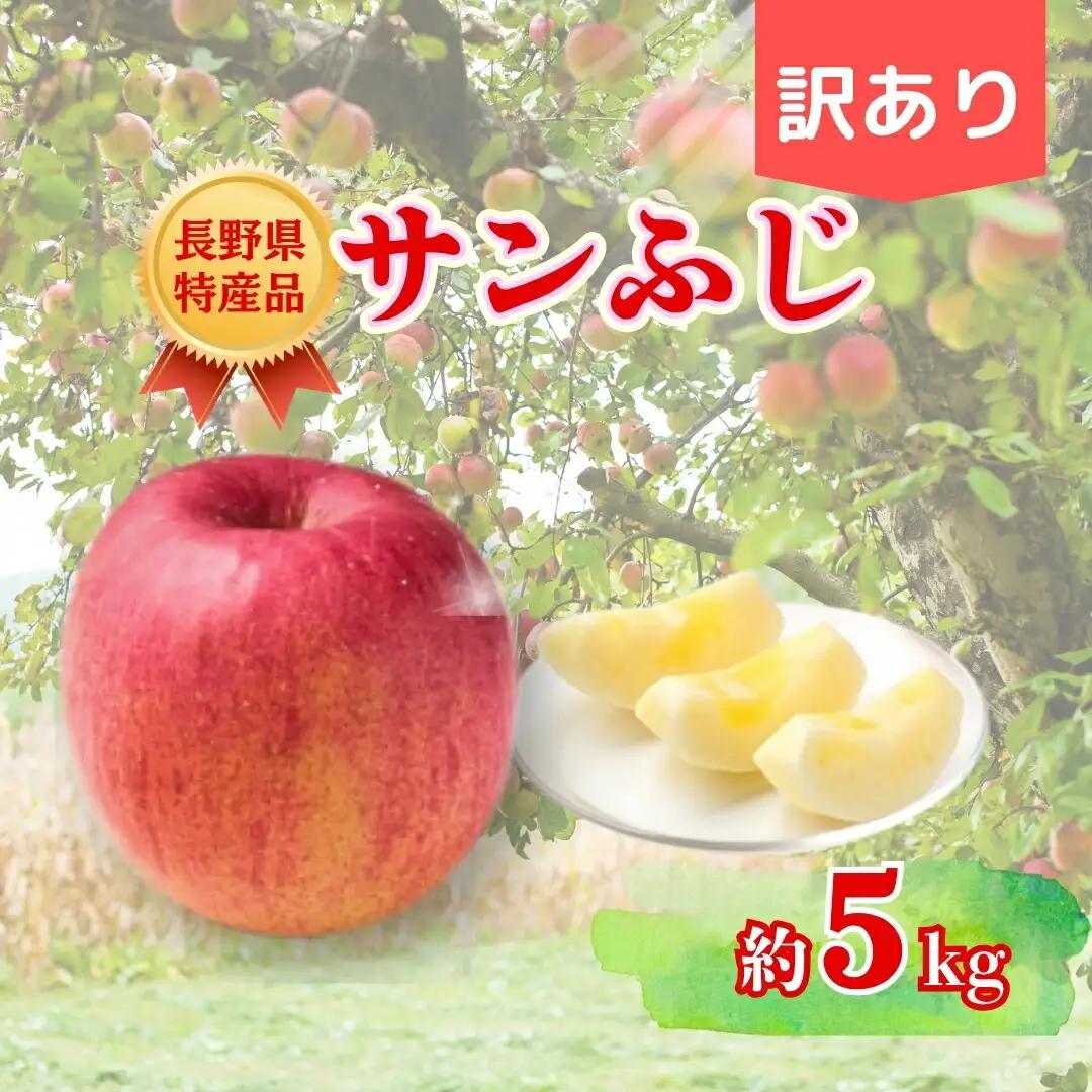 【2026年先行予約】サンふじ 約5kg 訳あり | りんご