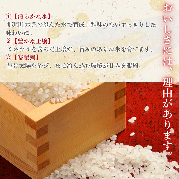【3カ月定期便】コシヒカリ 10kg（茨城県共通返礼品・城里町産） / 米 こめ コメ お米 おこめ コシヒカリ こしひかり 白米 精米 ごはん ご飯 令和7年産 10kg 定期便 茨城県 城里町 利