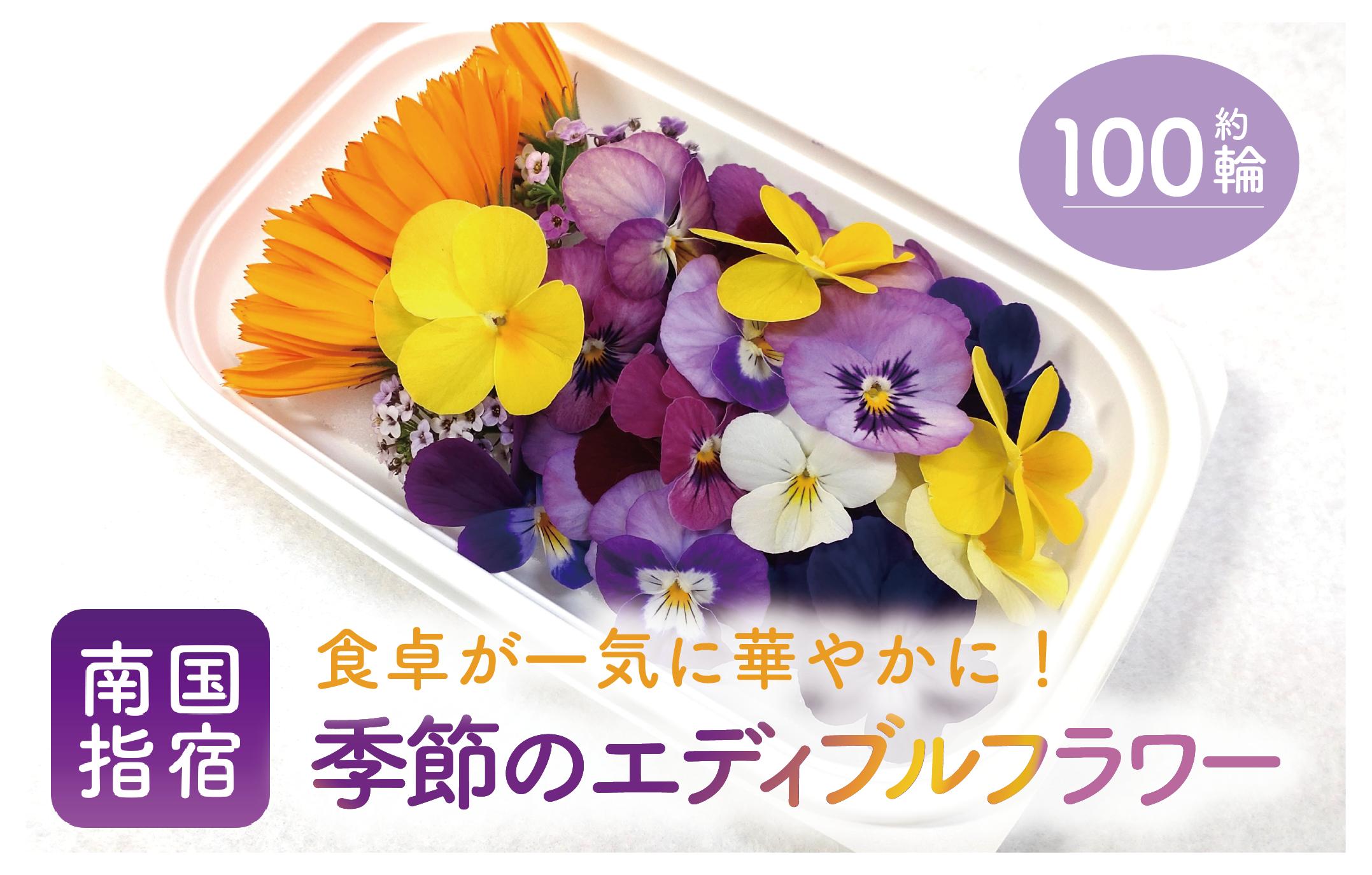 
                  季節のエディブルフラワー(約100輪)(MICHI-FARM/IB125-001) 花 食べられる花 食用花 エディブル フラワー 彩り 旬 飾り トッピング
                