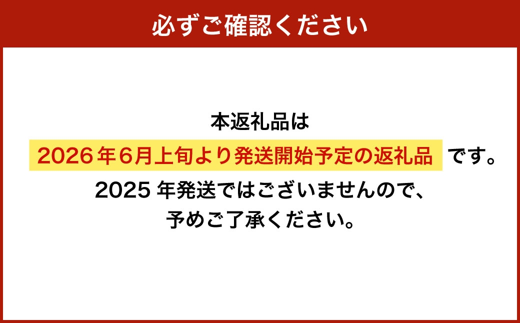 生うに 300g