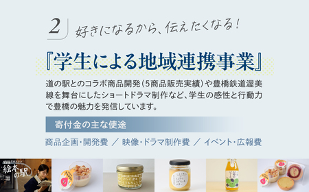≪返礼品無し≫【愛知大学】豊橋市大学応援寄附 10000円 大学寄附 愛知県豊橋市への寄附 返礼品無し 寄附のみ 豊橋市 穂の国 東三河 10000円 ポッキリ 愛知県 豊橋市