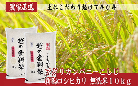 J8-7MN101D【越の金翔米】新潟県長岡産コシヒカリ無洗米10kg（特別栽培米）