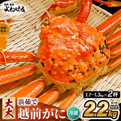 ふるさと納税 美浜町 【2027年2月より順次発送】越前がに　大大サイズ2杯　獲れたて★茹でたてをその日に発送致します!