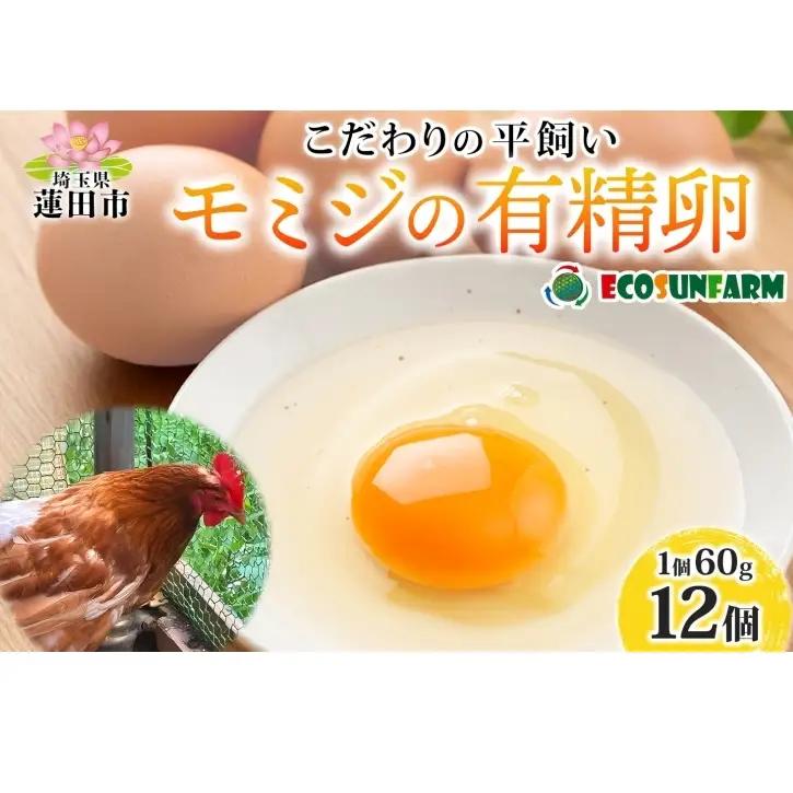 有精卵平飼いモミジエコサンファーム赤玉有精卵【12個】