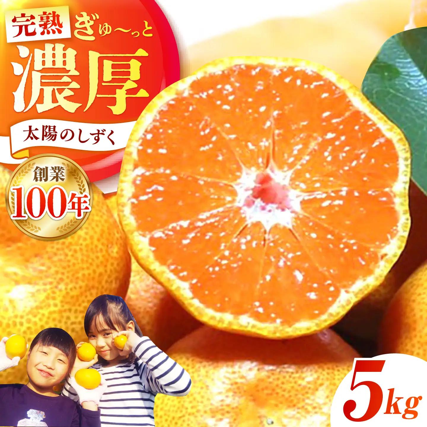 【先行予約】早生みかん 太陽のしずく 5kg【夢の甘熟みかん タッチ】[HCE001] 蜜柑 果物 フルーツ 柑橘