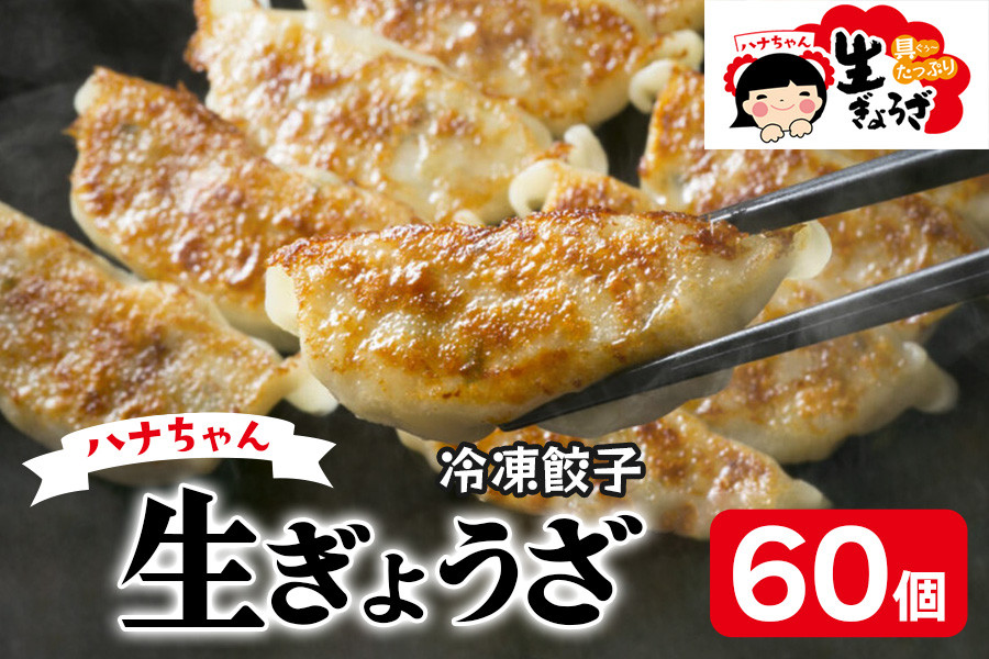 
            ハナちゃん生ぎょうざ 冷凍餃子 60個セット｜国産素材 生ぎょうざ 冷凍餃子 おかず  [0093]
          