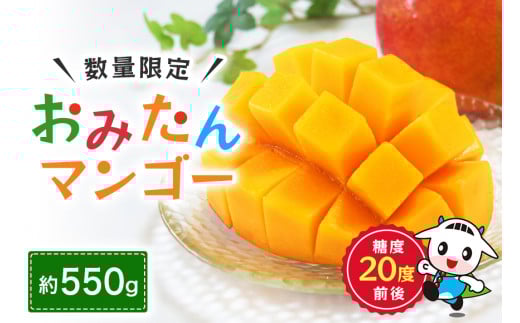 【数量限定・季節限定】おみたんマンゴー 約550g 数量限定 期間限定 先行予約 完熟 マンゴー 国産フルーツ 果物 くだもの 【7月20日～8月末まで順次発送予定】『グッド！モーニング』で紹介 19-I