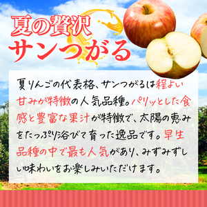 【2024年8月下旬発送 先行予約】樹上熟成　サンつがる 3kg