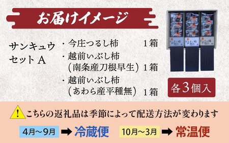 【先行予約】【日本唯一の燻す干し柿】 サンキュウセットA（今庄つるし柿・越前いぶし柿(南条産刀根早生、あわら産平種無)の詰合せ）【2025年11月末以降順次発送】干し柿 無添加