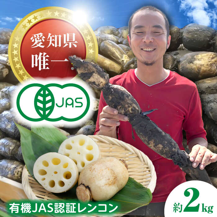 【ふるさと納税】 れんこん 2kg 有機JAS認証土付きレンコン 有機栽培 産地直送 野菜 愛西市 / 山三レンコン [AEBK003]