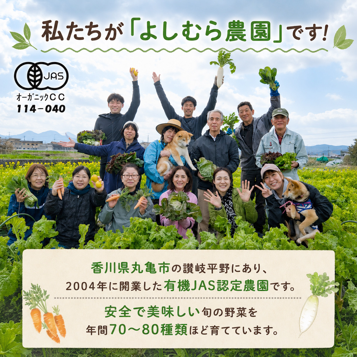 野菜 定期便 12回 詰め合わせ 10種 よしむら農園 オーガニック 有機 有機野菜 やさい ベジタブル おまかせ セット 一人暮らし おすすめ レタス とうもろこし トマト 有機栽培 JAS 栄養 
